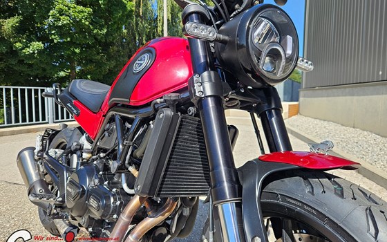 Gebrauchtmotorrad Benelli Leoncino 500 - Bild 7 Gebrauchtmotorrad Benelli Leoncino 500 - Bild 7