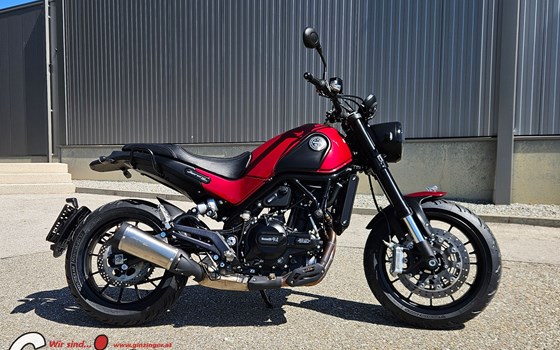Gebrauchtmotorrad Benelli Leoncino 500 - Bild 3 Gebrauchtmotorrad Benelli Leoncino 500 - Bild 3