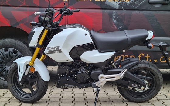 Gebrauchtmotorrad Honda MSX125 Grom - Bild 2