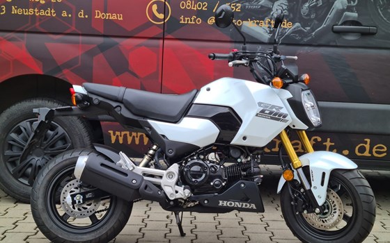 Gebrauchtmotorrad Honda MSX125 Grom - Bild 1