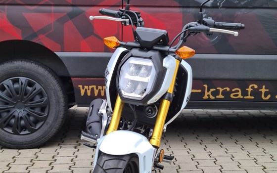 Gebrauchtmotorrad Honda MSX125 Grom - Bild 3