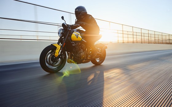 Neufahrzeug Triumph Trident 660 - Bild 15