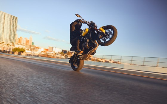 Neufahrzeug Triumph Trident 660 - Bild 17