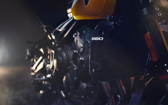 Neufahrzeug Triumph Trident 660 - Bild 21