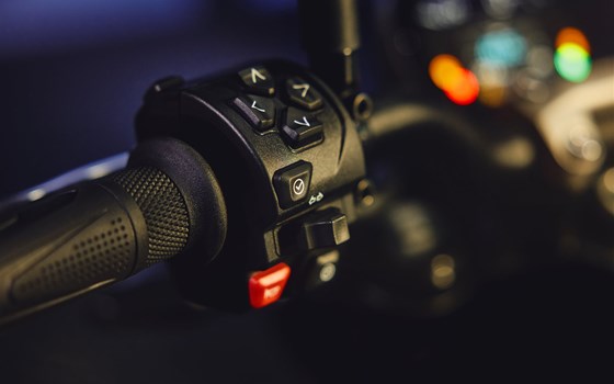 Neufahrzeug Triumph Trident 660 - Bild 22