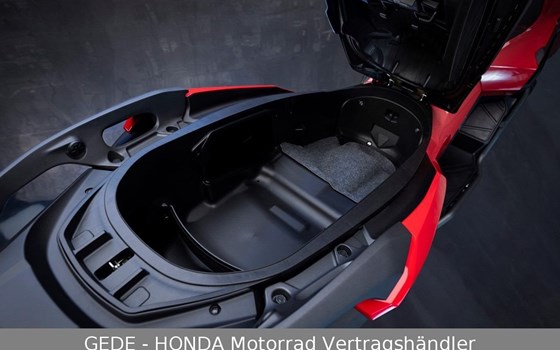 Neufahrzeug Honda ADV350 - Bild 9