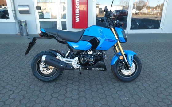 Neufahrzeug Honda MSX125 Grom - Bild 1