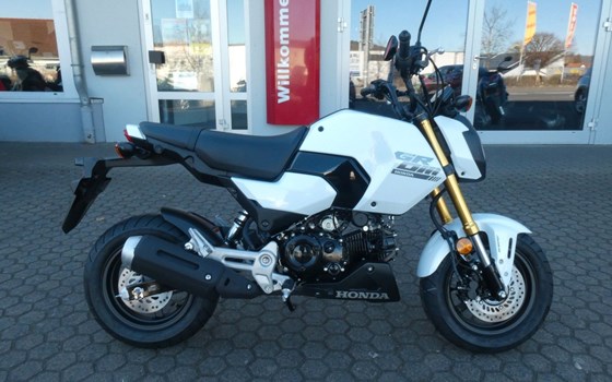 Neufahrzeug Honda MSX125 Grom - Bild 10