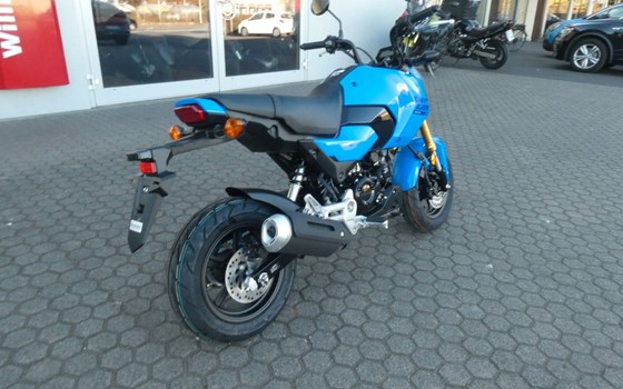 Neufahrzeug Honda MSX125 Grom - Bild 4