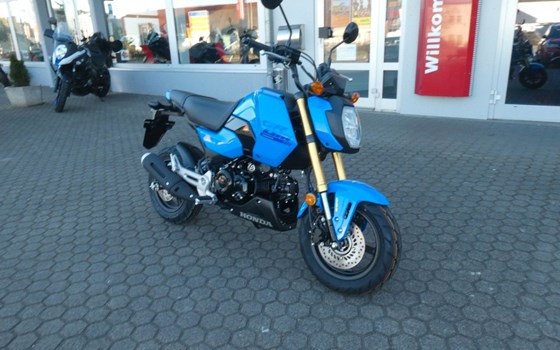 Neufahrzeug Honda MSX125 Grom - Bild 5