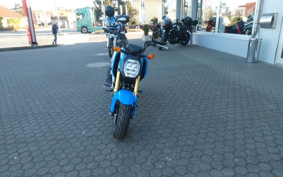 Neufahrzeug Honda MSX125 Grom - Bild 6