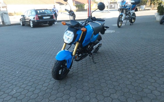 Neufahrzeug Honda MSX125 Grom - Bild 7