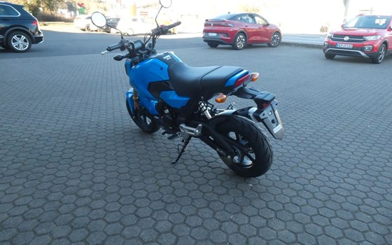 Neufahrzeug Honda MSX125 Grom - Bild 8
