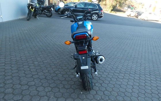 Neufahrzeug Honda MSX125 Grom - Bild 9