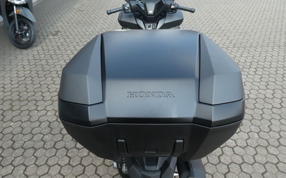 Neufahrzeug Honda Forza 125 - Bild 10