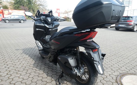 Neufahrzeug Honda Forza 125 - Bild 9