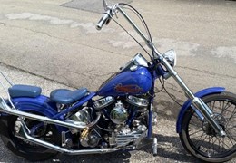 Occasion Harley-Davidson Panhead F