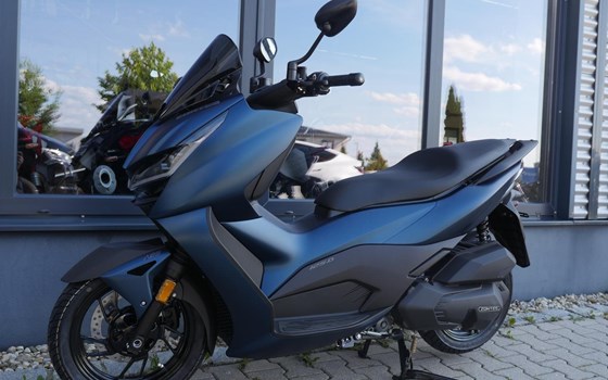 Neufahrzeug Zontes 125 D - Bild 10