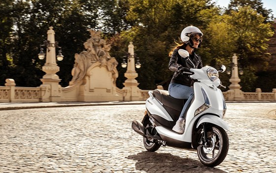 Gebrauchtmotorrad Yamaha D'elight - Bild 19