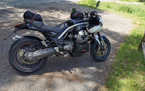 Gebrauchtmotorrad Moto Guzzi Griso 1100 - Bild 11 Gebrauchtmotorrad Moto Guzzi Griso 1100 - Bild 11