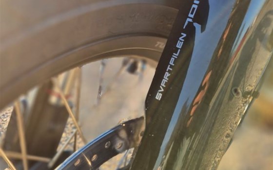 Gebrauchtmotorrad Husqvarna Svartpilen 701 - Bild 3 Gebrauchtmotorrad Husqvarna Svartpilen 701 - Bild 3