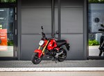 Angebot Honda MSX125 Grom