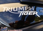 Angebot Triumph Tiger 800