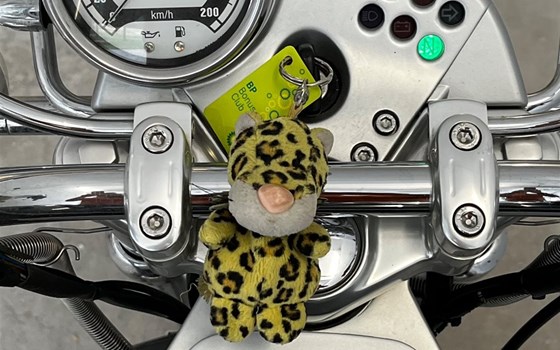 Gebrauchtmotorrad BMW R 1200 C - Bild 8 Gebrauchtmotorrad BMW R 1200 C - Bild 8