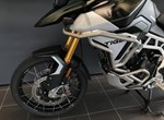 Angebot Triumph Tiger 900 Rally Pro