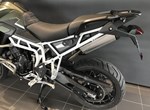 Angebot Triumph Tiger 900 Rally Pro