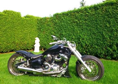 Gebrauchte Yamaha XVS 1100 Drag Star Gebrauchte Yamaha XVS 1100 Drag Star