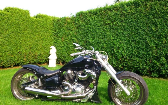 Gebrauchtmotorrad Yamaha XVS 1100 Drag Star - Bild 1 Gebrauchtmotorrad Yamaha XVS 1100 Drag Star - Bild 1