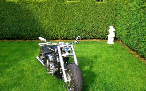 Gebrauchtmotorrad Yamaha XVS 1100 Drag Star - Bild 2