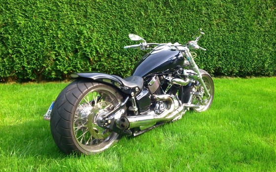 Gebrauchtmotorrad Yamaha XVS 1100 Drag Star - Bild 3 Gebrauchtmotorrad Yamaha XVS 1100 Drag Star - Bild 3