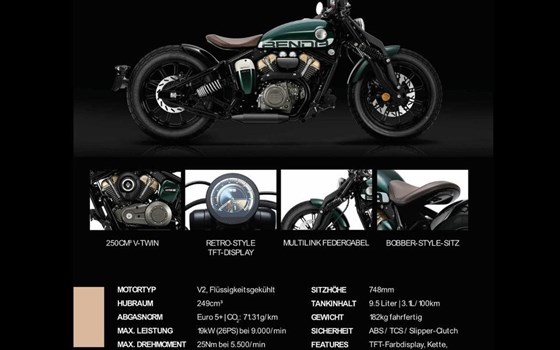 Neufahrzeug Benda Napoleonbob 250 - Bild 17