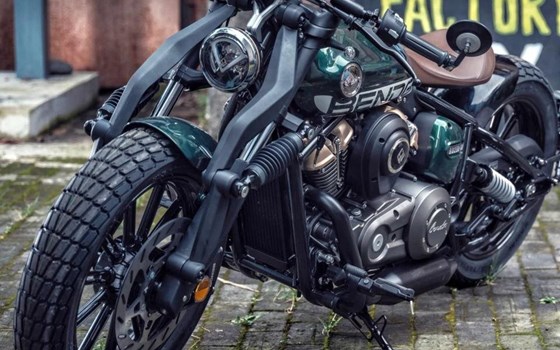 Neufahrzeug Benda Napoleonbob 250 - Bild 4