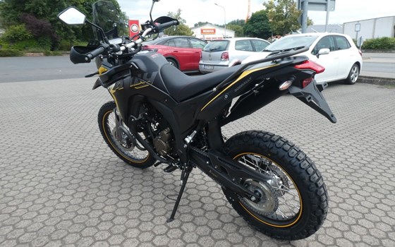 Neufahrzeug Voge 300 Rally - Bild 6