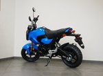 Angebot Honda MSX125 Grom