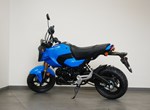 Angebot Honda MSX125 Grom