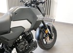 Angebot Honda MSX125 Grom