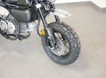 Angebot Honda Monkey