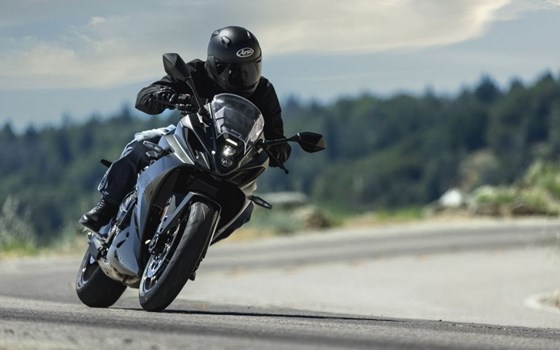 Neufahrzeug Suzuki GSX-8R - Bild 1