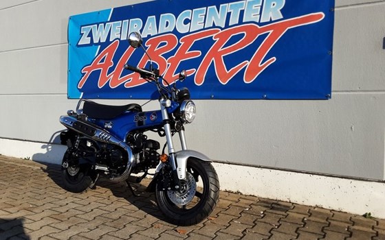Gebrauchtmotorrad Honda Dax - Bild 6
