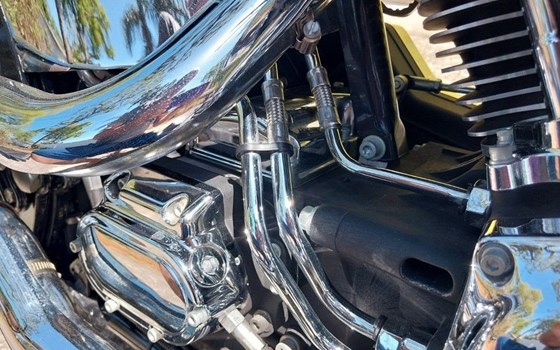 Gebrauchtmotorrad Harley-Davidson Softail Fat Boy FLSTF - Bild 9 Gebrauchtmotorrad Harley-Davidson Softail Fat Boy FLSTF - Bild 9