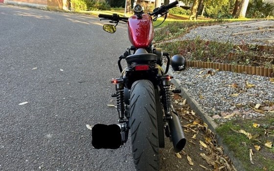 Gebrauchtmotorrad Harley-Davidson Sportster XL 883 N Iron - Bild 3 Gebrauchtmotorrad Harley-Davidson Sportster XL 883 N Iron - Bild 3