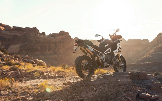 Neufahrzeug Triumph Tiger 1200 Rally PRO - Bild 12