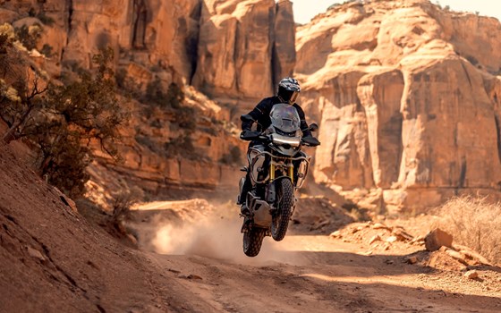 Neufahrzeug Triumph Tiger 1200 Rally PRO - Bild 13