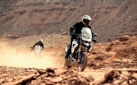 Neufahrzeug Triumph Tiger 1200 Rally PRO - Bild 18