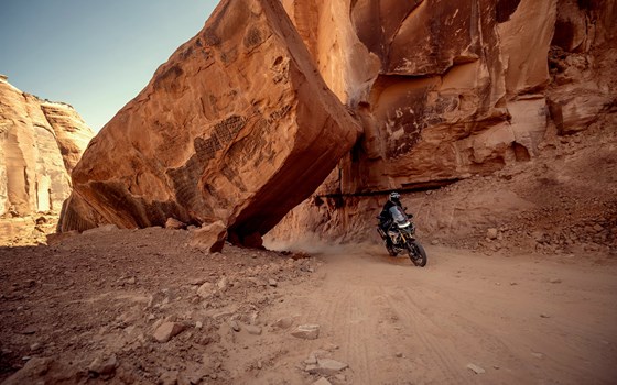 Neufahrzeug Triumph Tiger 1200 Rally PRO - Bild 19