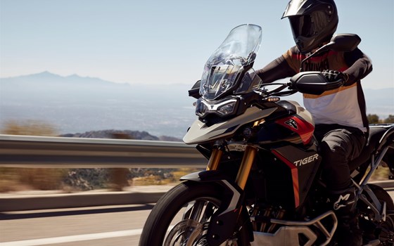 Neufahrzeug Triumph Tiger 900 Rally Pro - Bild 9